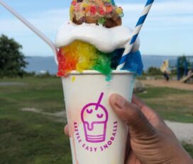 Little Easy Snoballs